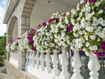 Apartment Studio flat with terrace Dramalj, Crikvenica AS-5594-b - Outdoor photo 10