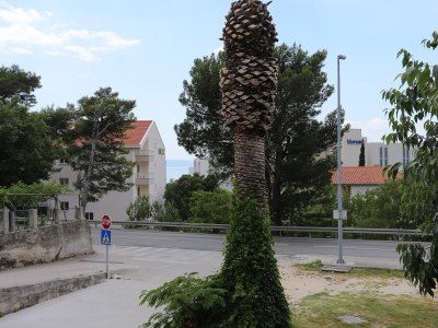 Apartment Studio flat with balcony and sea view Tučepi, Makarska AS-6695-f - Outdoor photo 17