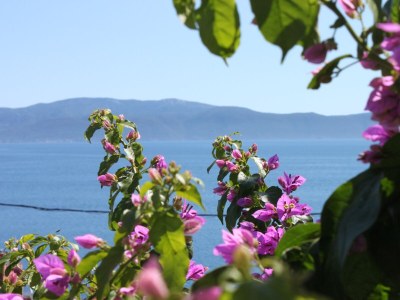 Apartment Studio flat with balcony and sea view Podaca, Makarska AS-6745-b - Outdoor photo 21