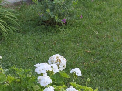 Apartment Studio flat with terrace and sea view Podaca, Makarska AS-6745-d - Outdoor photo 8