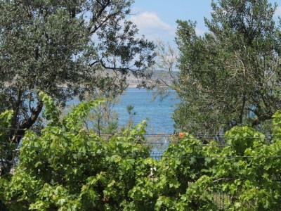 Holiday room near beach Seline, Paklenica S-6440-b - Outdoor photo 29