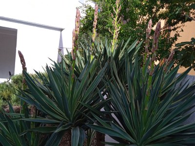 Apartment Two bedroom apartment with terrace Pirovac, Šibenik A-15320-b - Outdoor photo 10