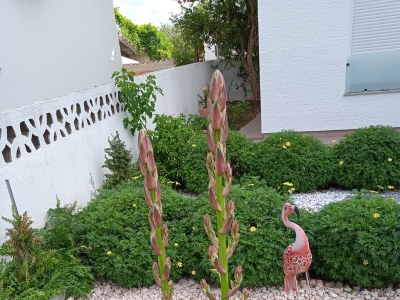 Apartment Studio flat with terrace Pirovac, Šibenik AS-15320-a - Outdoor photo 8