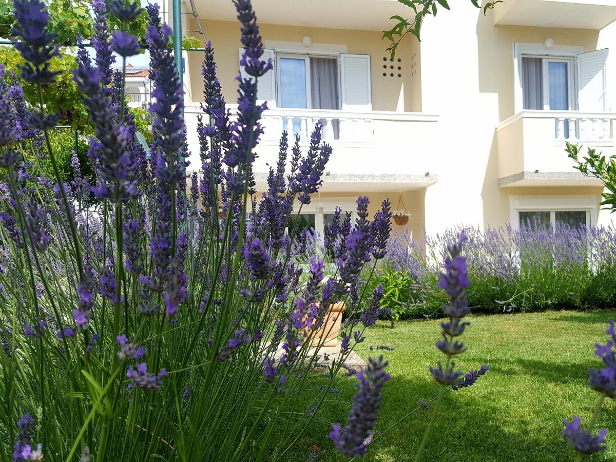 Apartment Comfortable and spacious apartment with terrace Rab A-12383-a - Outdoor photo 5