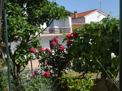 Apartment Comfortable and spacious apartment with terrace Rab A-12383-a - Outdoor photo 7