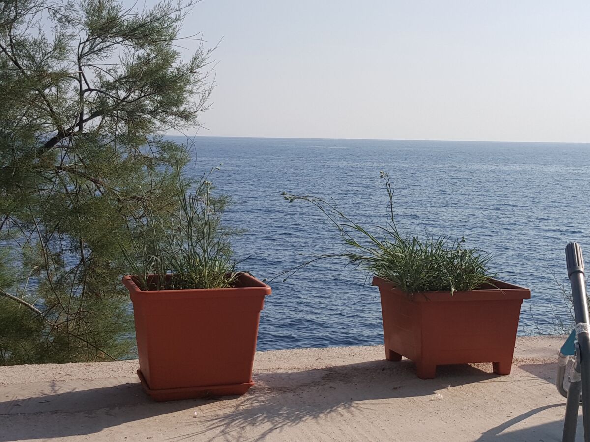 Apartment One bedroom apartment near beach Dingač - Potočine, Pelješac A-10433-a