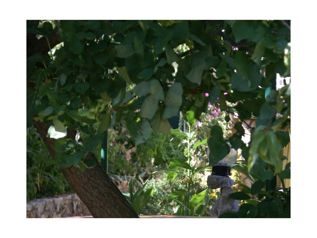 Apartment Two bedroom apartment with terrace Seget Vranjica, Trogir A-10438-a - Outdoor photo 5