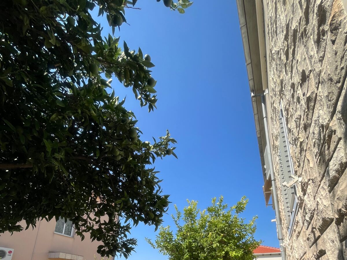 Apartment Two bedroom apartment with terrace Orebić, Pelješac A-10440-a - Outdoor photo 5