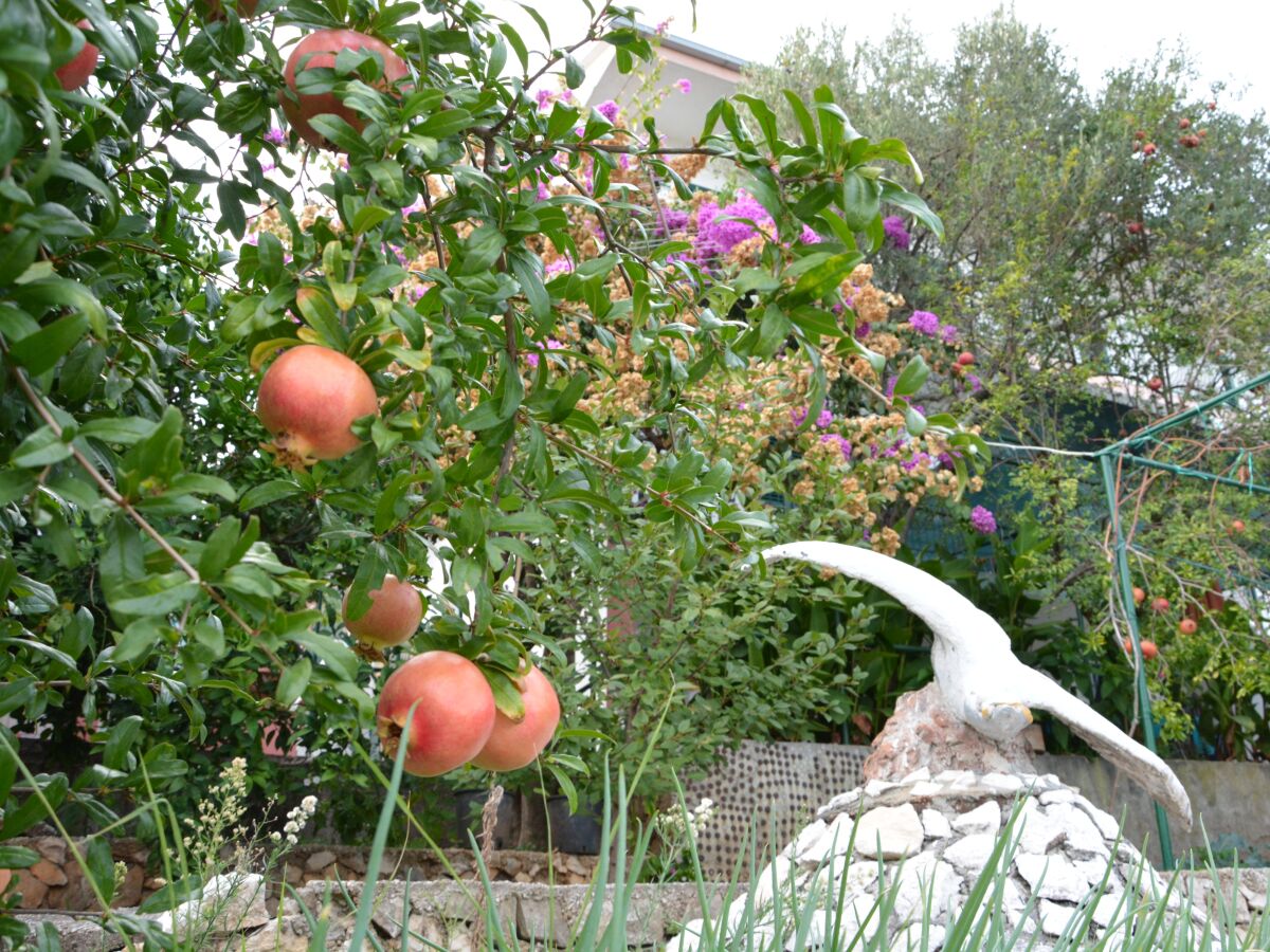 Apartment One bedroom apartment with terrace and sea view Poljica, Trogir A-12653-b - Outdoor photo 3