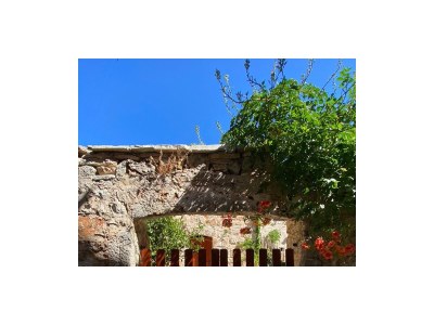 Holiday house with a swimming pool Vrbanj, Hvar - 11040 - Outdoor photo 14