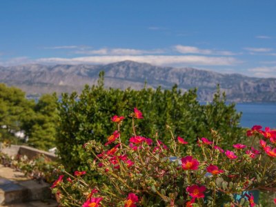 Apartment Two bedroom apartment with terrace and sea view Postira, Brač A-11168-a - Outdoor photo 6