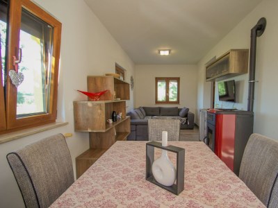 Holiday house Two bedroom house with terrace Dajla, Novigrad K-11612 - Outdoor photo 13