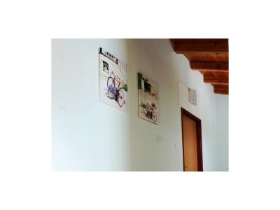 Apartment Two bedroom apartment with terrace Lukoran, Ugljan A-11672-a - Outdoor photo 13