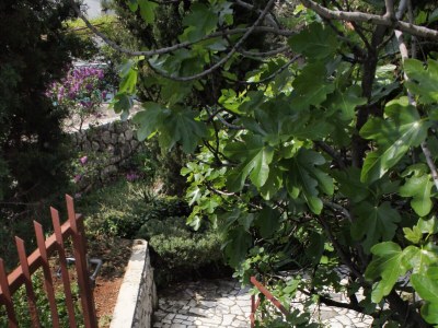 Apartment One bedroom apartment with terrace and sea view Krk A-5318-b - Outdoor photo 9