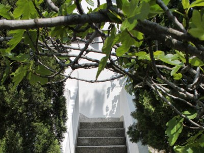 Apartment One bedroom apartment with terrace and sea view Krk A-5318-b - Outdoor photo 14