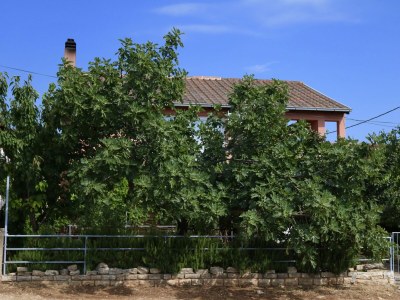 Apartment One bedroom apartment with terrace Gornji Karin, Novigrad A-11806-a - Outdoor photo 10