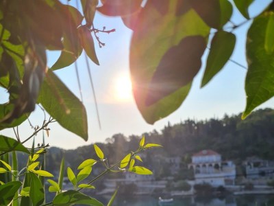 Apartment Two bedroom apartment near beach Rogač, Šolta A-5166-c - Outdoor photo 10