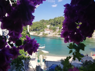 Apartment Two bedroom apartment near beach Rogač, Šolta A-5166-c - Outdoor photo 22