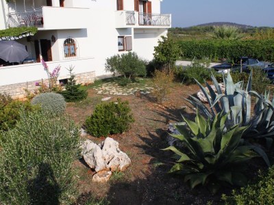 Holiday room with balcony Gornje selo, Šolta S-5170-d - Outdoor photo 8