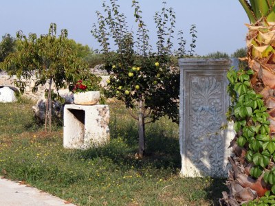 Holiday room with balcony Gornje selo, Šolta S-5170-d - Outdoor photo 9