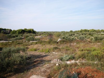 Holiday room with balcony Gornje selo, Šolta S-5170-d - Outdoor photo 21