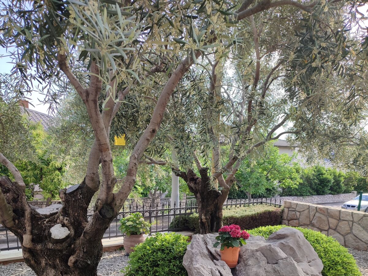 Apartment Two bedroom apartment with terrace and sea view Novi Vinodolski A-5488-a - Outdoor photo 4