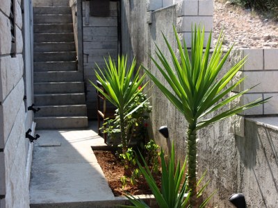 Apartment Studio flat near beach Nečujam, Šolta AS-5182-a - Outdoor photo 9