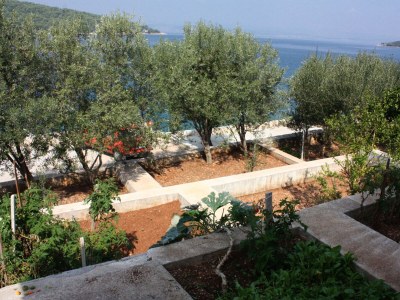 Apartment Studio flat near beach Nečujam, Šolta AS-5182-b - Outdoor photo 9