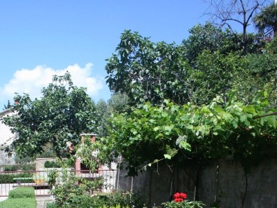 Apartment One bedroom apartment with terrace and sea view Crikvenica A-5489-a - Outdoor photo 5