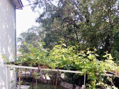 Apartment Three bedroom apartment with terrace and sea view Dramalj, Crikvenica A-5491-a - Outdoor photo 8