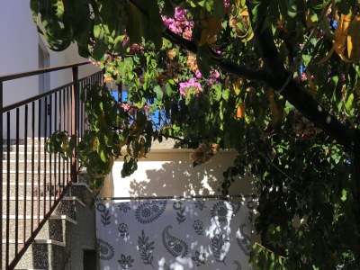 Apartment Two bedroom apartment with terrace Poljica, Trogir A-5199-b - Outdoor photo 7