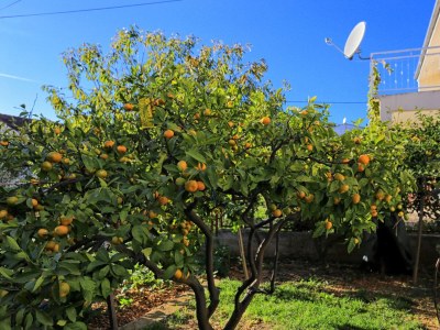 Apartment Two bedroom apartment with terrace Poljica, Trogir A-5199-b - Outdoor photo 9