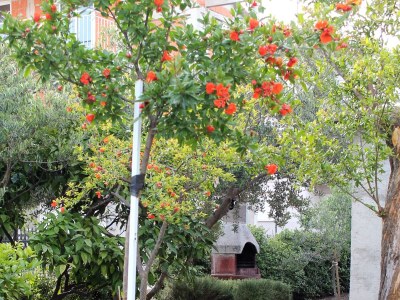 Apartment One bedroom apartment with terrace Kaštel Štafilić, Kaštela A-5219-b - Outdoor photo 5