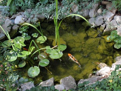 Apartment Two bedroom apartment with balcony and sea view Dramalj, Crikvenica A-5519-a - Outdoor photo 7