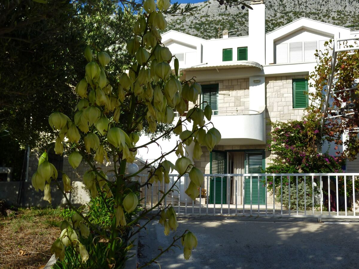 Apartment One bedroom apartment with terrace and sea view Igrane, Makarska A-5266-b - Outdoor photo 5