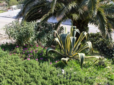 Apartment One bedroom apartment with terrace and sea view Igrane, Makarska A-5266-b - Outdoor photo 9