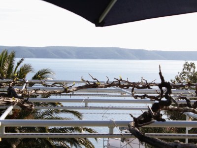 Apartment One bedroom apartment with terrace and sea view Igrane, Makarska A-5266-b - Outdoor photo 24