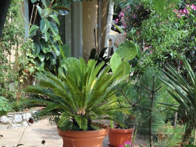 Holiday room with balcony and sea view Dramalj, Crikvenica S-5519-a - Outdoor photo 11