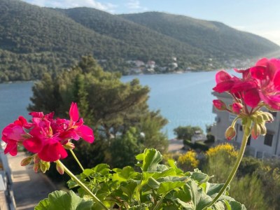 Apartment Two bedroom apartment near beach Grebaštica, Šibenik A-5270-b - Outdoor photo 10