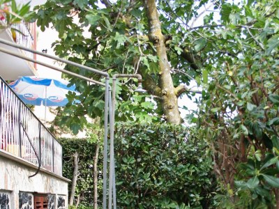 Apartment Apartments with parking space Selce, Crikvenica - 5531 - Apartments with parking space Selce, Crikvenica - 5531 - Outdoor photo 7