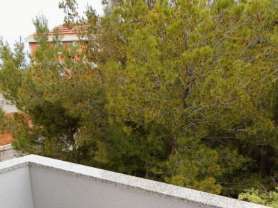 Apartment Two bedroom apartment with balcony and sea view Biograd na Moru, Biograd A-5282-b - Outdoor photo 20