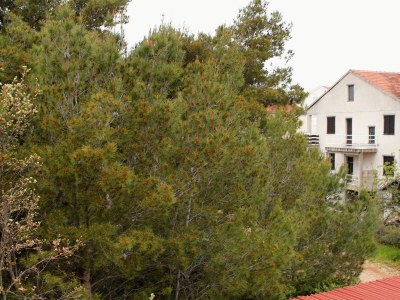 Apartment Two bedroom apartment with balcony and sea view Biograd na Moru, Biograd A-5282-b - Outdoor photo 22