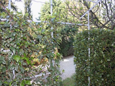 Apartment One bedroom apartment with terrace Sveti Anton, Krk A-5288-b - Outdoor photo 23