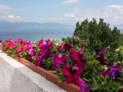 Apartment One bedroom apartment with terrace and sea view Njivice, Krk A-5362-c - Outdoor photo 11