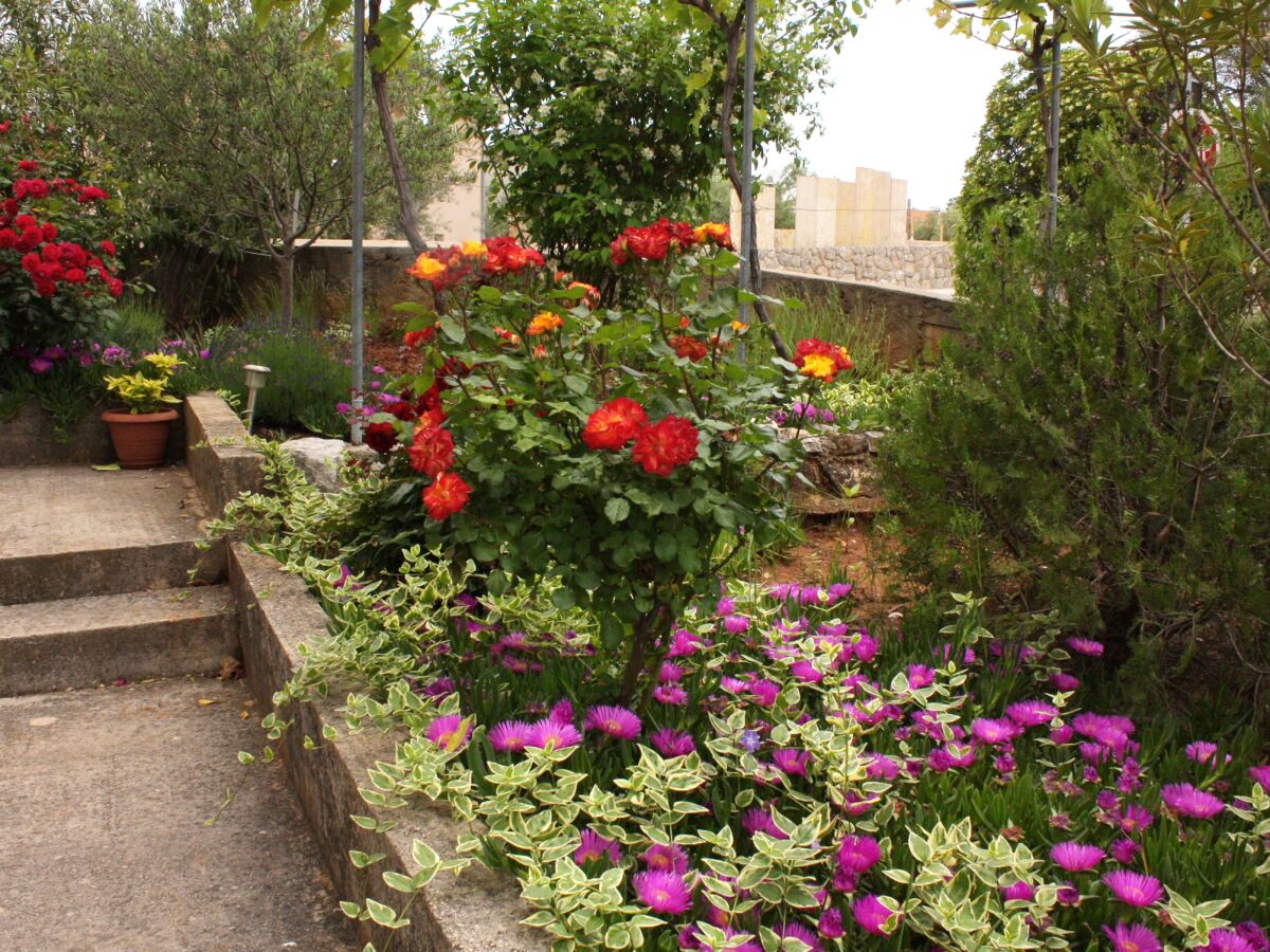 Apartment One bedroom apartment with terrace Krk A-5364-b - Outdoor photo 4