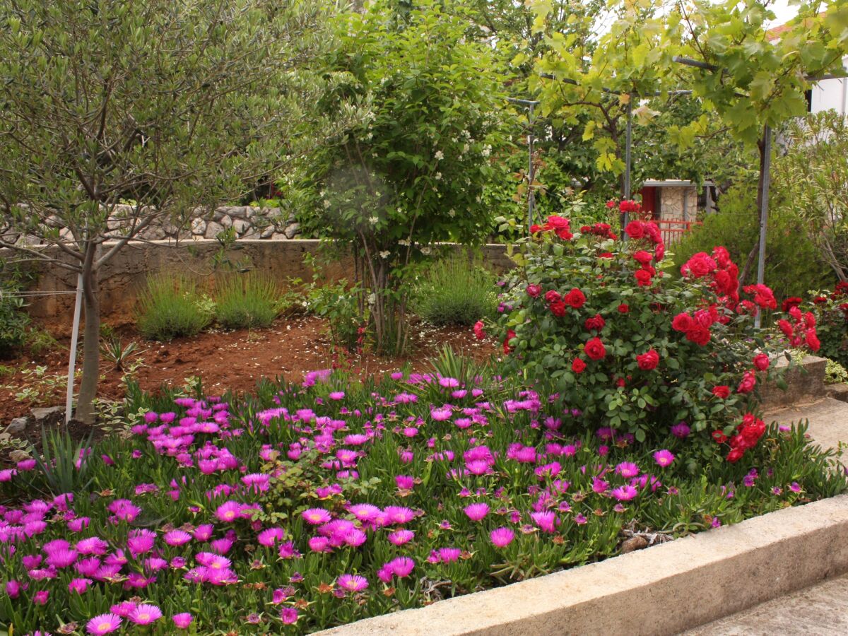 Apartment One bedroom apartment with terrace Krk A-5364-b - Outdoor photo 5