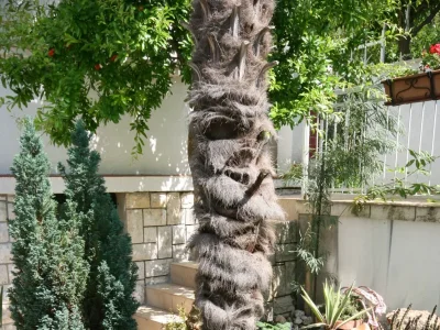 Apartment Two bedroom apartment with terrace and sea view Selce, Crikvenica A-5366-a - Outdoor photo 7