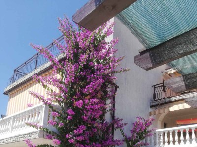 Apartment One bedroom apartment with terrace Pinezići, Krk A-5319-b - Outdoor photo 7