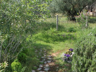 Apartment One bedroom apartment with terrace Pinezići, Krk A-5319-b - Outdoor photo 11