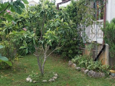 Apartment One bedroom apartment with terrace Pinezići, Krk A-5319-b - Outdoor photo 15